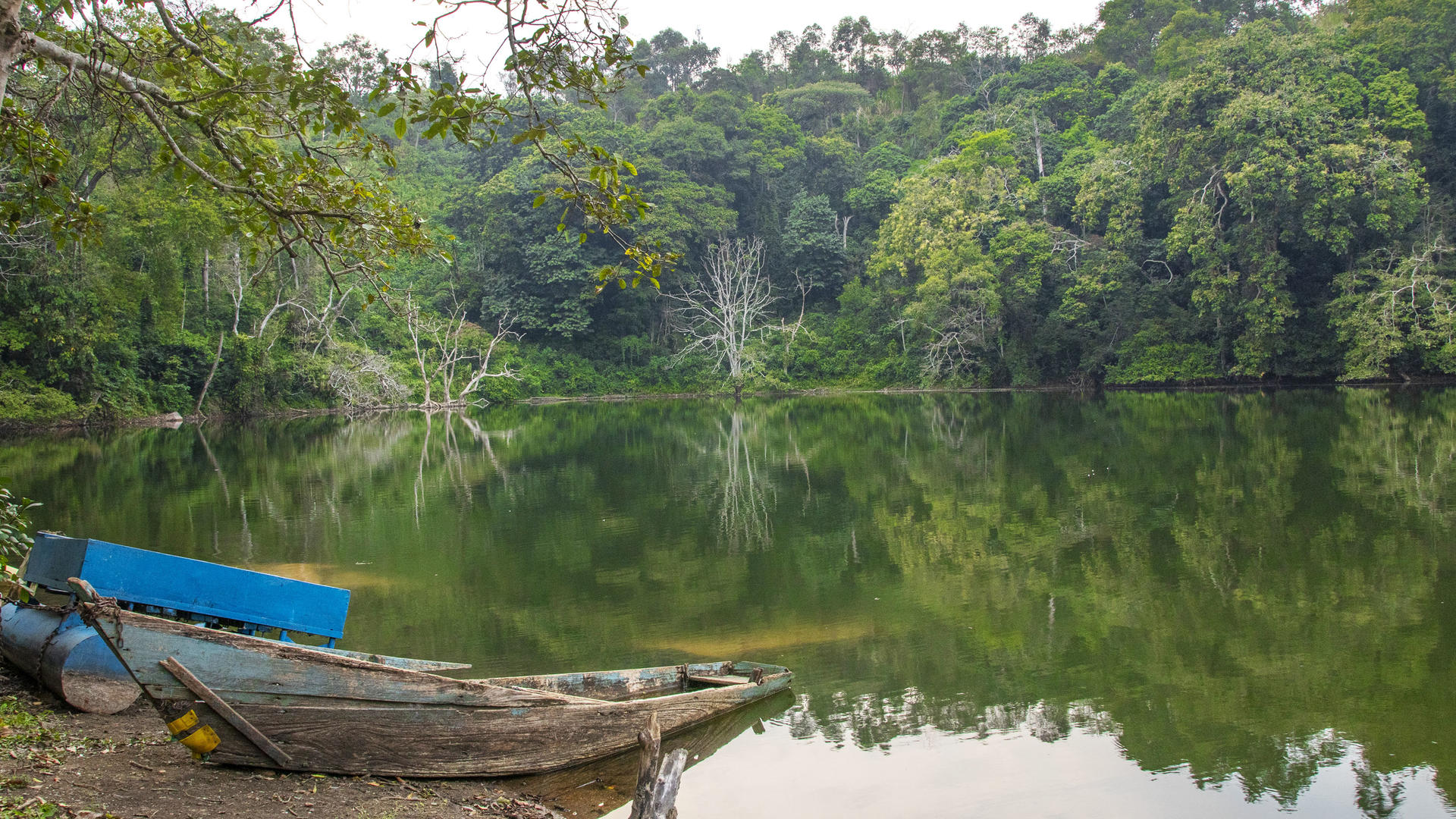 16 - Days of intensive adventurous safari through magical Uganda and Rwanda