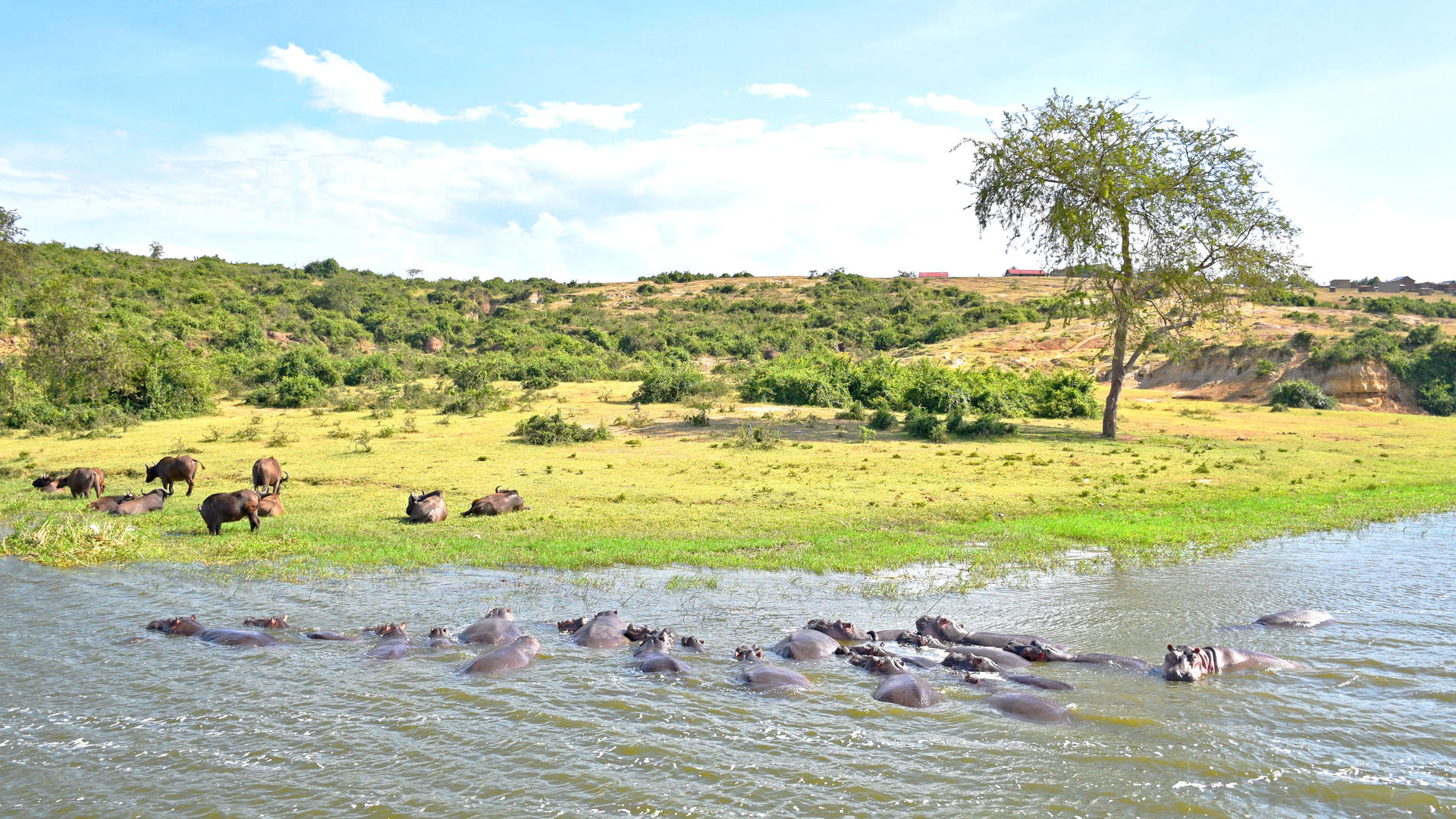 15 - Days discovery of Uganda and Tanzania