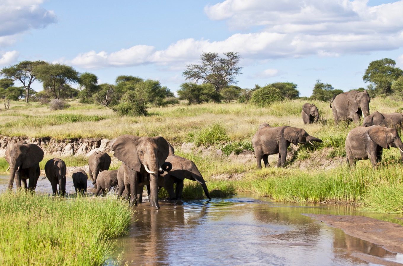 36 - Days Uganda gorillas, wildlife safari & cultural tour