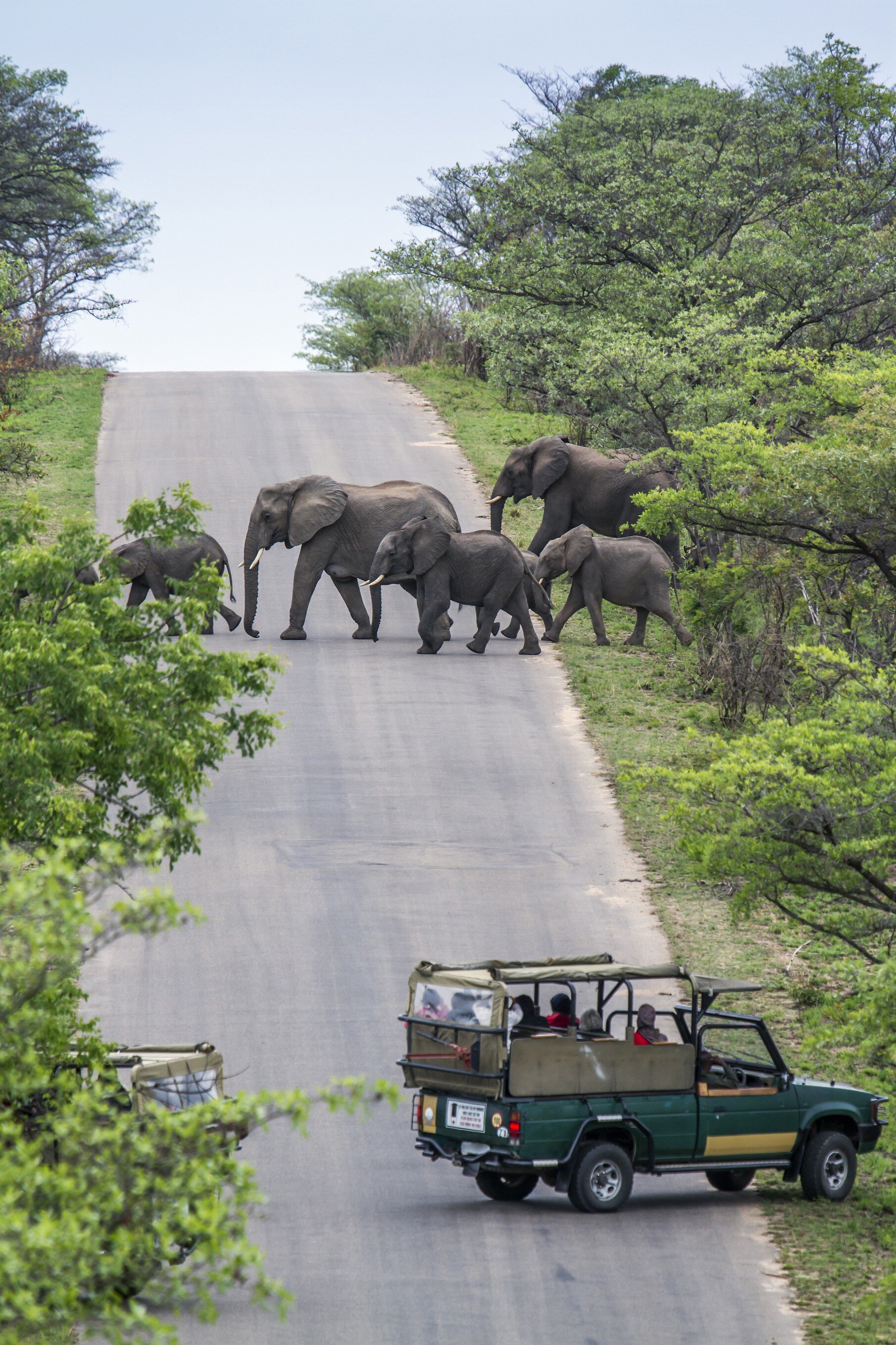 8 - Days All-Inclusive Uganda flying safari